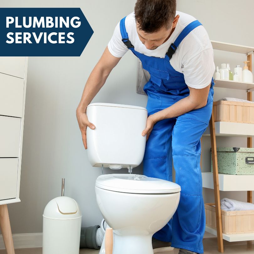 Plumbing Company in Illiopolis, IL